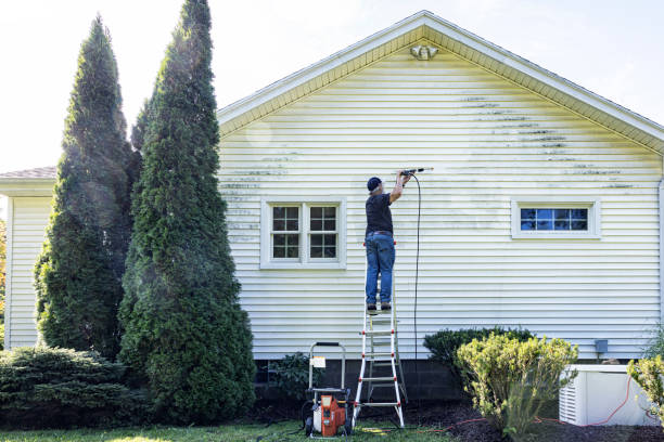 Best Brick and Stone Cleaning in Meadowlakes, TX